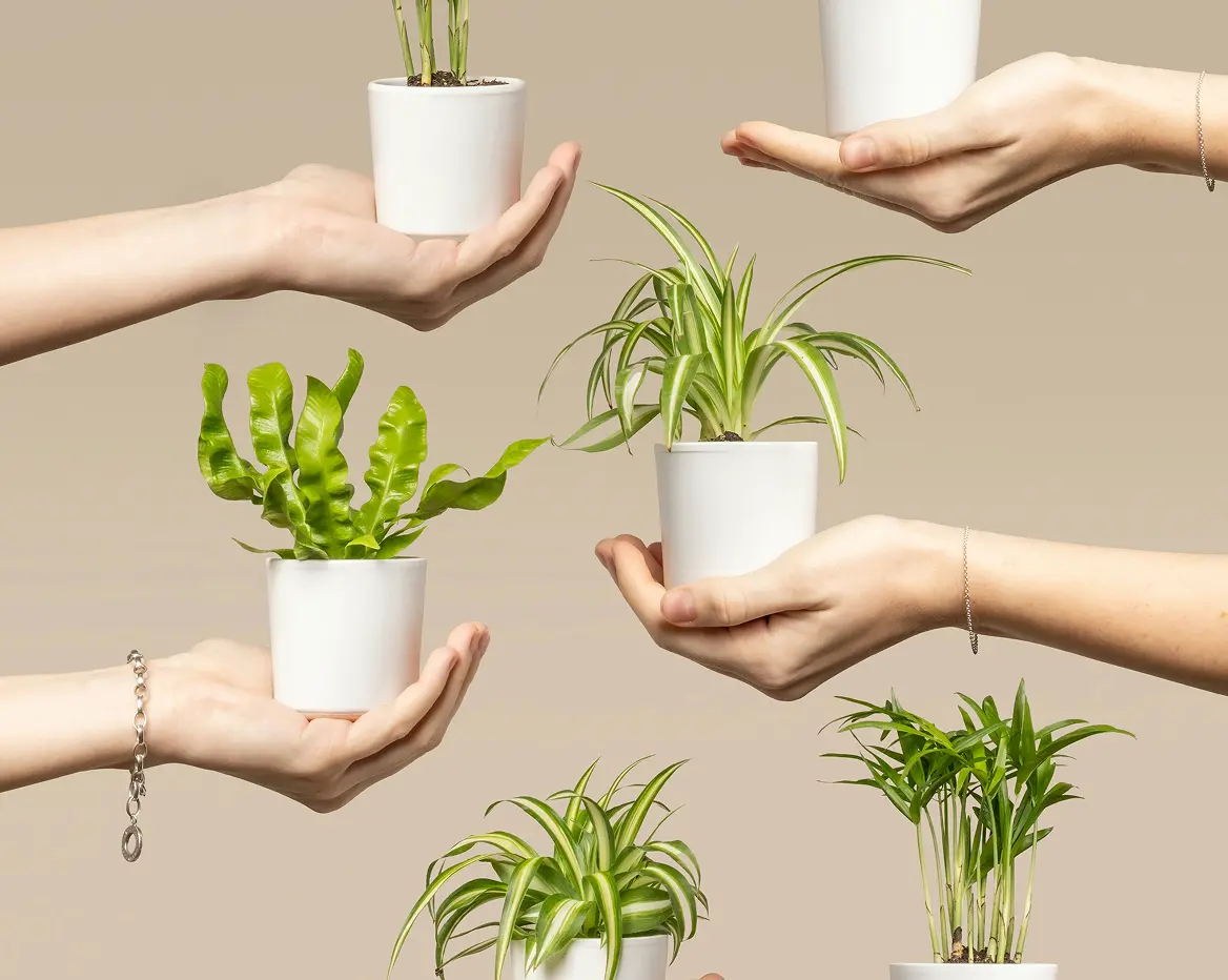 Zdjęcie biura zespołu HOBB.